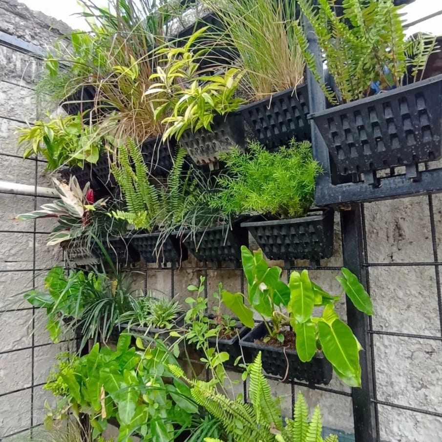 SKY GARDEN